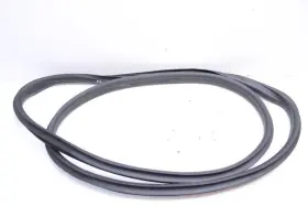 Gn1z-7420708-b Ford 2018-2022 Ecosport Front Right Door Weatherstrip On Body Oem