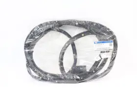 Jl1z-7825325-a Ford 2018-2021 Expedition Rear Left Driver Side Door Weatherstrip Seal Oem