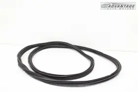 Lb5z-78404a06-a Ford 2020-2024 Explorer Rear Back Door Tailgate Liftgate Weatherstrip Seal Oem #2