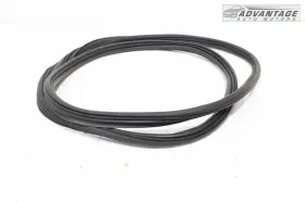 Lb5z-78404a06-a Ford 2020-2024 Explorer Rear Back Door Tailgate Liftgate Weatherstrip Seal Oem