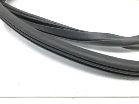 Lj8b-r20709-aa Ford 2021-2023 Mustang Mach-e Left Driver Front Door Body Weatherstrip Seal Oem #3