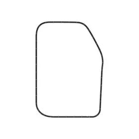 A18-64636-001 Freightliner Door Seal Right Side For