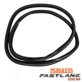25956335 General Motors 2006-2011 Cadillac Dts Front Door Weatherstrip New Oem