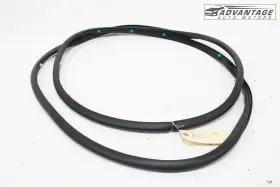 82130-g9000 Genesis 2019-2025 G70 Ik Front Left Side Door Weatherstrip Seal Rubber Oem