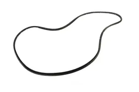 85663017 Genuine Gm Parts Canada Door Seal