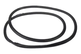 13463943 Gm Genuine Rear Side Door Weatherstrip