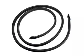 15126640 Gm Genuine Passenger Side Rear Door Weatherstrip #3