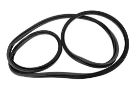 15161704 Gm Genuine Side Door Weatherstrip