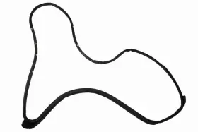 19316882 Gm Genuine Passenger Side Front Door Weatherstrip