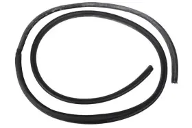 19318373 Gm Genuine F S Weatherstrip
