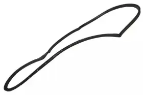 20805481 Gm Genuine Driver Side Front Door Weatherstrip