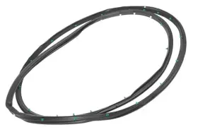 Gm 20864647 Genuine Passenger Side Door Weatherstrip