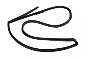 20954978 Gm Genuine Driver Side Rear Door Weatherstrip