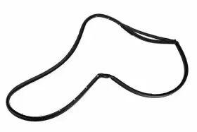 20954979 Gm Genuine Passenger Side Rear Door Weatherstrip #3