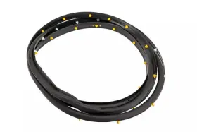 Gm 20981187 Genuine Driver Side Door Weatherstrip