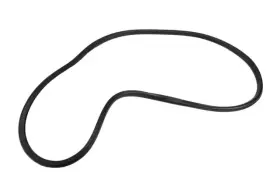 20993866 Gm Genuine Front Side Door Weatherstrip