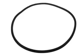 20993868 Gm Genuine Rear Side Door Weatherstrip