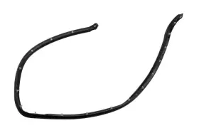 22740136 Gm Genuine Passenger Side Door Lower Weatherstrip