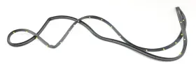 22774582 Gm New Oem Rear Left Door Weatherstrip Gmc Terrain 2010-2017 22774582 Gm New Oem Rear Left Door Weatherstrip Gmc Terrain 2010-2017