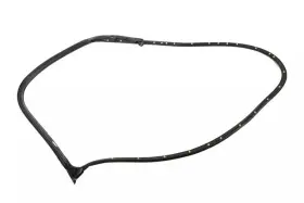 22862991 Gm Genuine Passenger Side Front Door Weatherstrip