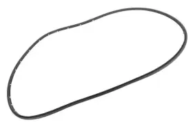 Gm 22973972 Genuine Door Weather-strip