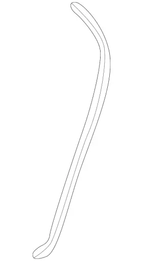 23204920 Gm Genuine Rear Passenger Side Door Auxiliary Weatherstrip