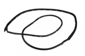 23275375 Gm Genuine Passenger Side Front Door Weatherstrip