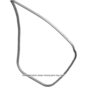23282070 Gm Genuine Passenger Side Rear Door Weatherstrip