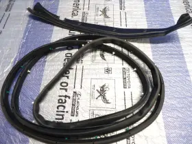 23407371 Gm 2017-2024 Chevy Malibu Door Seal Weatherseal Left Front