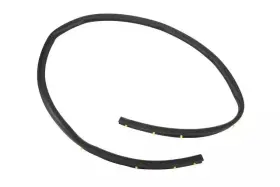 25790461 Gm Genuine Front And Rear Driver Side Door Lower Weatherstrip 25790461 Gm Genuine Front And Rear Driver Side Door Lower Weatherstrip