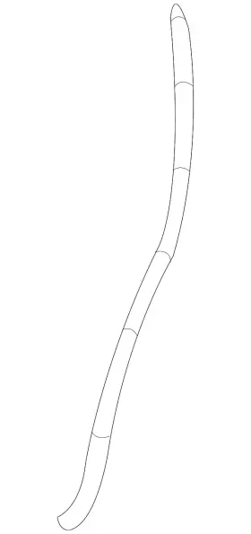 25823639 Gm Genuine Rear Weather-strip