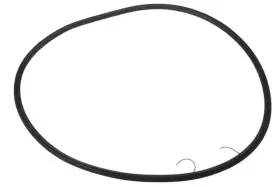 25997405 Gm Genuine Driver Side Door Weatherstrip 25997405 Gm Genuine Driver Side Door Weatherstrip