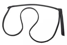 42454859 Gm Genuine Rear Driver Side Door Weatherstrip #2