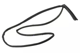 42474602 Gm Genuine Rear Driver Side Door Weatherstrip
