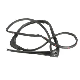 42474603 Gm Oem New 2012-2020 Chevrolet Sonic Rear Door Weatherstrip Passenger Side
