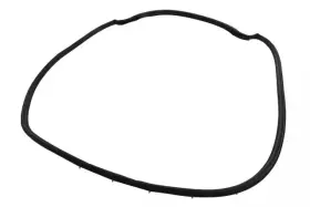 42541955 Gm Genuine Rear Passenger Side Door Weatherstrip