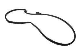 42562284 Gm Genuine Front Passenger Side Door Weatherstrip