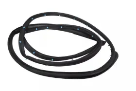 42763357 Gm Genuine Front Passenger Side Door Weatherstrip 42763357 Gm Genuine Front Passenger Side Door Weatherstrip