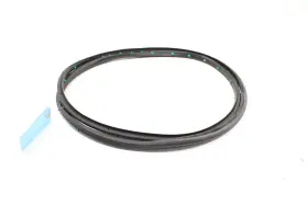 42766265 Gm Chevrolet Trailblazer Rear Left Driver Side Door Weatherstrip Seal Oem 2021-23