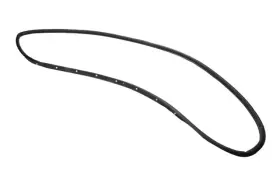 84011071 Gm Genuine Rear Driver Side Door Weatherstrip