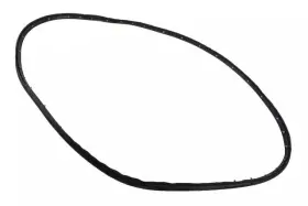 84028331 Gm Genuine Rear Passenger Side Door Weatherstrip 84028331 Gm Genuine Rear Passenger Side Door Weatherstrip