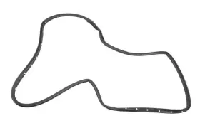 84028332 Gm Genuine Rear Driver Side Door Weatherstrip