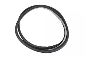 84056853 Gm Genuine Light Platinum Front Side Door Weatherstrip