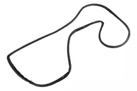 84228141 Gm Genuine Weatherstrip 84228141 Gm Genuine Weatherstrip