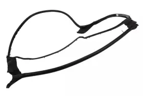 84234302 Gm Genuine Rear Passenger Side Door Weatherstrip