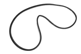 84234949 Gm Genuine Rear Passenger Side Door Weatherstrip