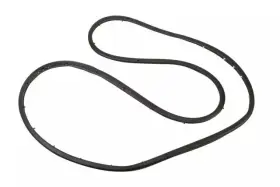 84234954 Gm Genuine Front Passenger Side Door Weatherstrip