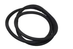 84237252 Gm Genuine Rear Side Door Weatherstrip