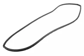 84644004 Gm Genuine Front Passenger Side Door Weatherstrip