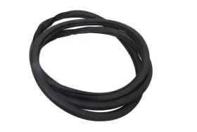 84688300 Gm Genuine Front Passenger Side Door Weatherstrip